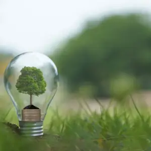 Renewable Energy System